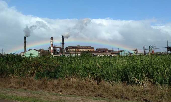 HC&S Puunene Mill 2016